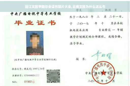 丽江文旅学院毕业证书图片大全,云南文旅为什么这么牛
