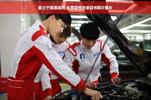 廖三宁是混血吗,东莞篮校毕业证书照片图片
