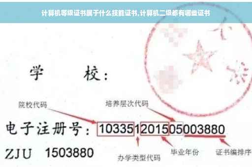 计算机等级证书属于什么技能证书,计算机二级都有哪些证书