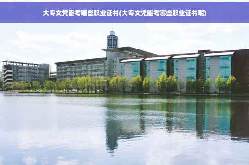 大专文凭能考哪些职业证书(大专文凭能考哪些职业证书呢)