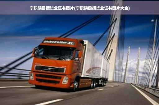 宁职院函授毕业证书图片(宁职院函授毕业证书图片大全)