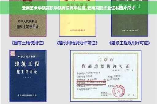 云南艺术学院高职学院有没有学位证,云南高职毕业证书图片尺寸