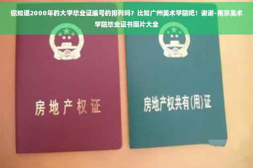 你知道2000年的大学毕业证编号的排列吗？比如广州美术学院吧！谢谢-南京美术学院毕业证书图片大全