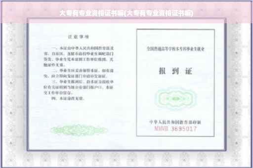 大专有专业资格证书嘛(大专有专业资格证书嘛)