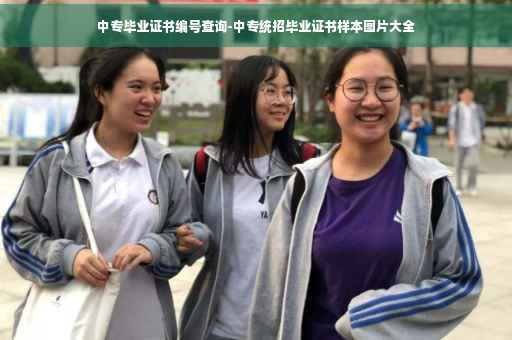 中专毕业证书编号查询-中专统招毕业证书样本图片大全