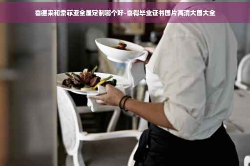 喜德来和索菲亚全屋定制哪个好-喜得毕业证书图片高清大图大全