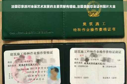 法国印象派对油画艺术发展的主要贡献有哪些,法国美院毕业证书图片大全