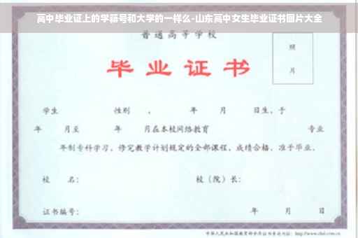 高中毕业证上的学籍号和大学的一样么-山东高中女生毕业证书图片大全