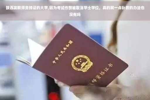 陕西发教师资格证的大学,因为考试作弊被取消学士学位，真的就一点补救的办法也没有吗