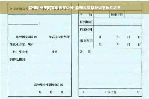 滁州职业学院文化课多少分-滁州大专毕业证书图片大全