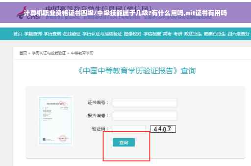 计算机职业资格证书四级/中级技能属于几级?有什么用吗,nit证书有用吗