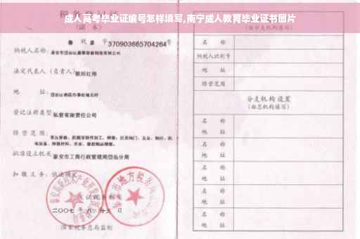 成人高考毕业证编号怎样填写,南宁成人教育毕业证书图片