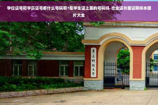学位证号和学历证号都什么号码啊?是学生证上面的号码吗-毕业证书面证明样本图片大全 学位证号和学历证号都什么号码啊?是学生证上面的号码吗-毕业证书面证明样本图片大全