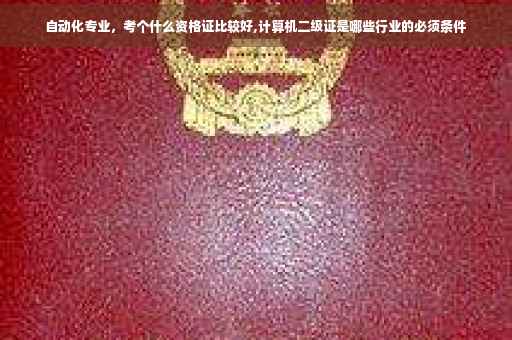 自动化专业，考个什么资格证比较好,计算机二级证是哪些行业的必须条件