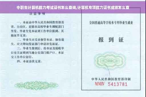 中职生计算机能力考试证书怎么查询,计算机专项能力证书成绩怎么查
