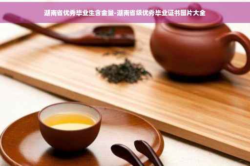 湖南省优秀毕业生含金量-湖南省级优秀毕业证书图片大全