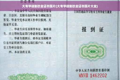 大专学徒制毕业证书图片(大专学徒制毕业证书图片大全)