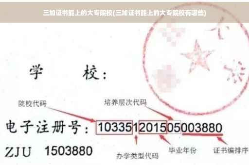 三加证书能上的大专院校(三加证书能上的大专院校有哪些)