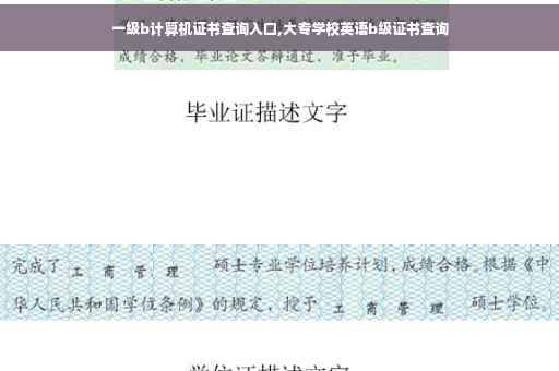 一级b计算机证书查询入口,大专学校英语b级证书查询