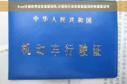 bap计算机考试含金量高吗,计算机行业含金量最高的有哪些证书