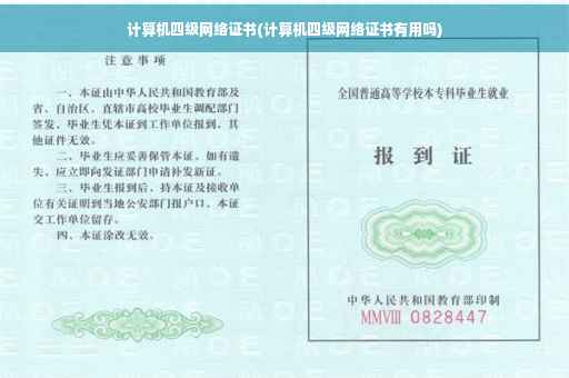 计算机四级网络证书(计算机四级网络证书有用吗)