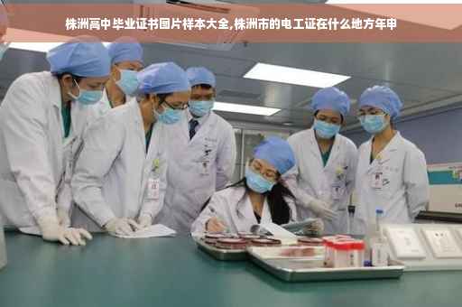 株洲高中毕业证书图片样本大全,株洲市的电工证在什么地方年申