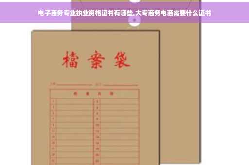 电子商务专业执业资格证书有哪些,大专商务电商需要什么证书