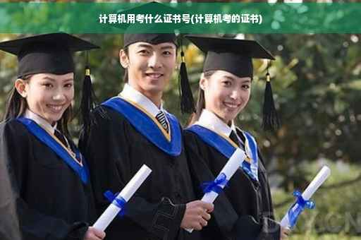 计算机用考什么证书号(计算机考的证书)