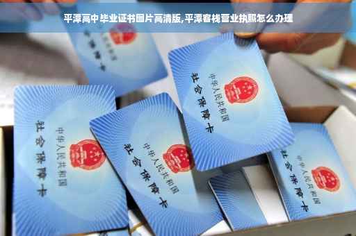 平潭高中毕业证书图片高清版,平潭客栈营业执照怎么办理