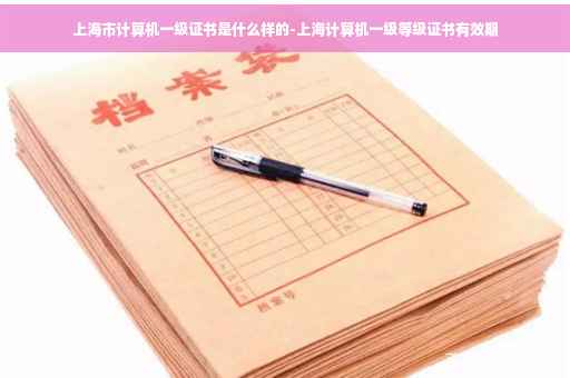 上海市计算机一级证书是什么样的-上海计算机一级等级证书有效期