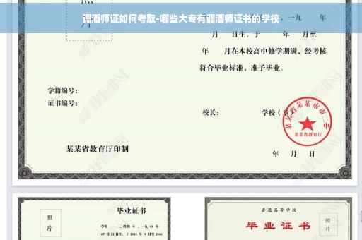 调酒师证如何考取-哪些大专有调酒师证书的学校