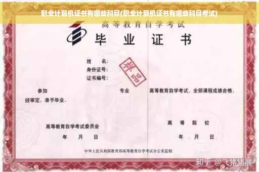 职业计算机证书有哪些科目(职业计算机证书有哪些科目考试)