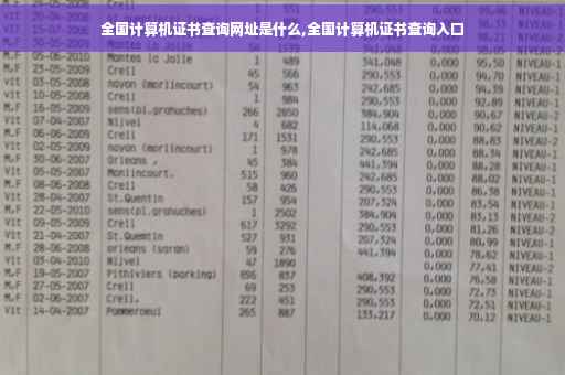 全国计算机证书查询网址是什么,全国计算机证书查询入口