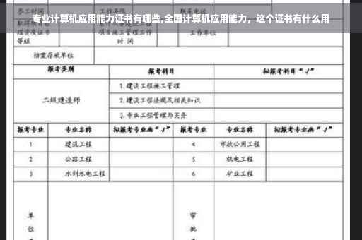 专业计算机应用能力证书有哪些,全国计算机应用能力，这个证书有什么用