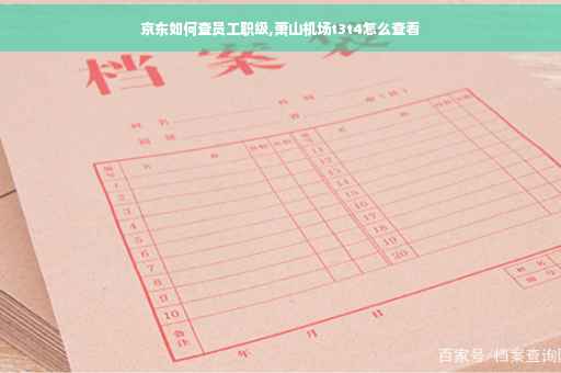 京东如何查员工职级,萧山机场t3t4怎么查看