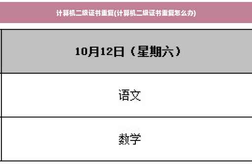计算机二级证书重复(计算机二级证书重复怎么办)