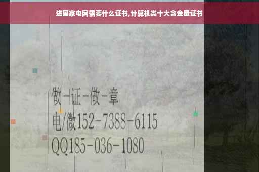进国家电网需要什么证书,计算机类十大含金量证书