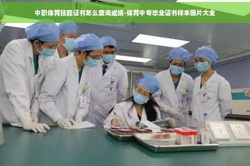 中职体育技能证书怎么查询成绩-体育中专毕业证书样本图片大全