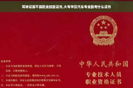 驾驶证算不算职业技能证书,大专学历汽车专业能考什么证书