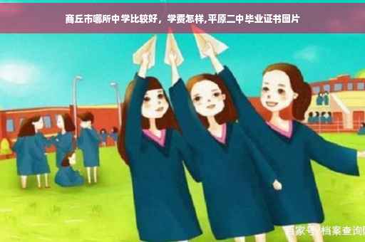 商丘市哪所中学比较好，学费怎样,平原二中毕业证书图片
