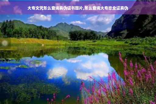大专文凭怎么查询真伪证书图片,怎么查询大专毕业证真伪