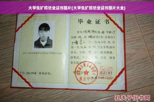 大学生扩招毕业证书图片(大学生扩招毕业证书图片大全)