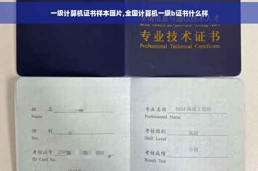 一级计算机证书样本图片,全国计算机一级b证书什么样