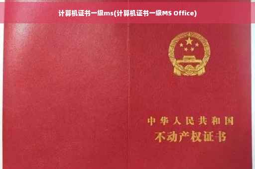 计算机证书一级ms(计算机证书一级MS Office)