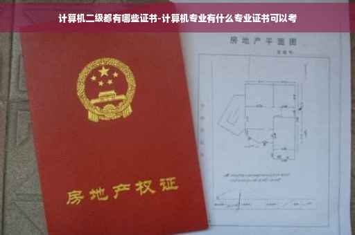 计算机二级都有哪些证书-计算机专业有什么专业证书可以考