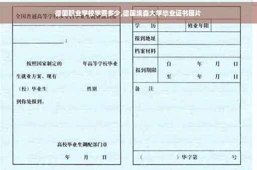 德国职业学校学费多少,德国埃森大学毕业证书图片
