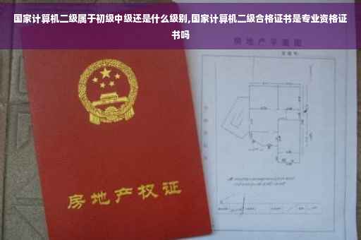 国家计算机二级属于初级中级还是什么级别,国家计算机二级合格证书是专业资格证书吗