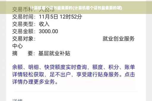 计算机哪个证书最重要的(计算机哪个证书最重要的呢)
