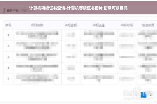 计算机初级证书查询-计算机等级证书图片 初级可以用吗