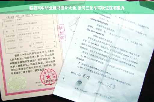 临颍高中毕业证书图片大全,漯河三轮车驾驶证在哪里办